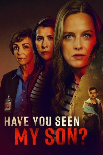 Póster de Have You Seen My Son?