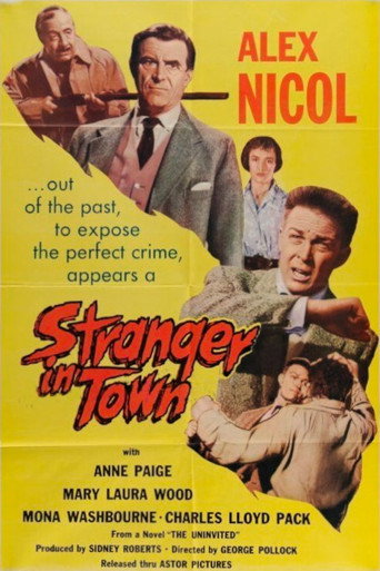 Póster de Stranger in Town