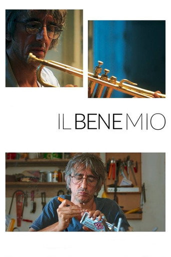 Póster de Il bene mio