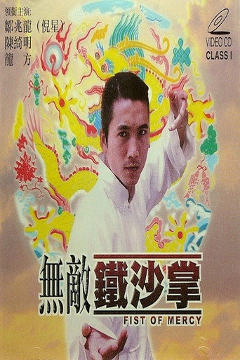Póster de 无敌铁砂掌