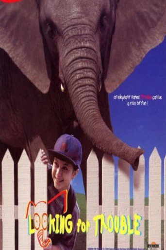 Póster de Looking for Trouble