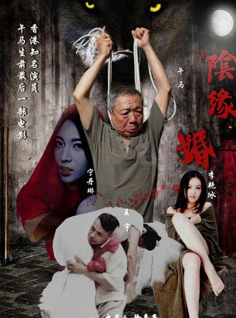 Póster de 阴缘婚