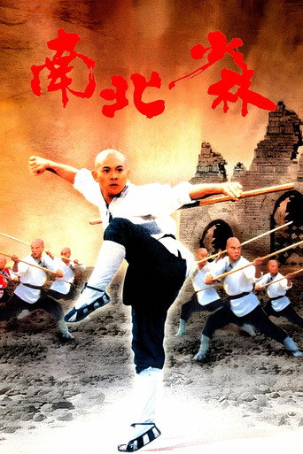 Póster de Martial Arts of Shaolin