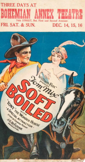 Póster de Soft Boiled