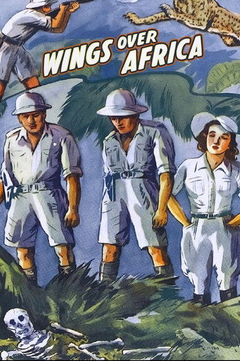 Póster de Wings over Africa