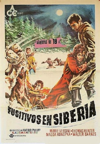 Póster de Liebesnächte in der Taiga