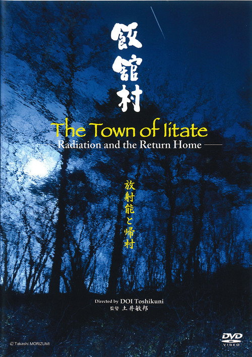 Póster de 飯舘村　放射能と帰村
