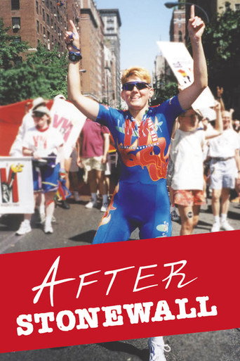 Póster de After Stonewall