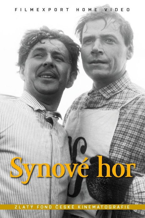 Póster de Synové hor