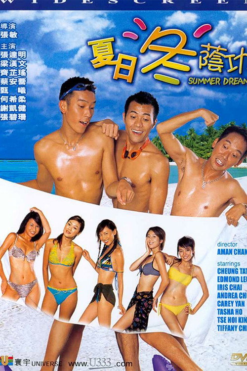 Póster de 夏日冬荫功