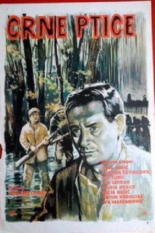 Póster de Crne ptice
