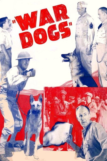 Póster de War Dogs