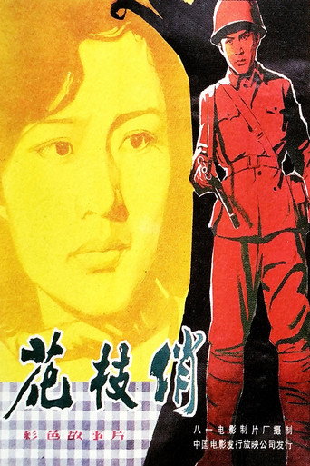 Póster de 花枝俏