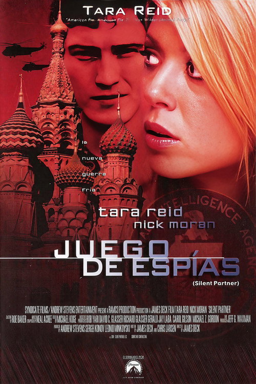 Póster de Silent Partner