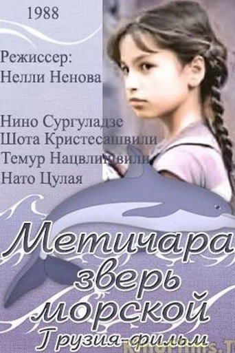 Póster de Metichara