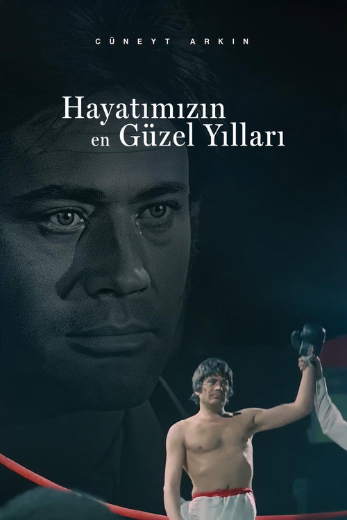 Póster de Hayatımızın En Güzel Yılları