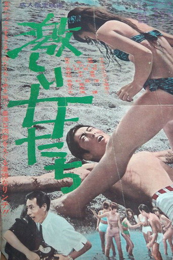 Póster de 激しい女たち