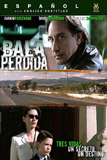 Póster de Bala perdida