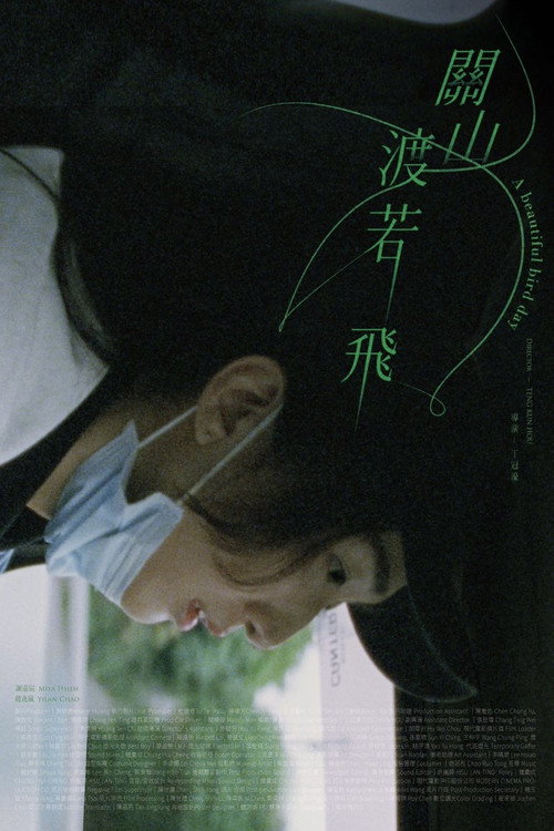 Póster de 關山渡若飛