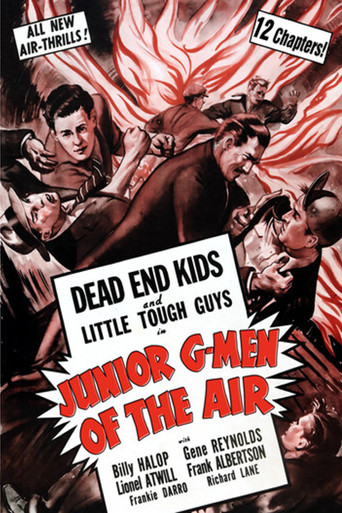 Póster de Junior G-Men of the Air