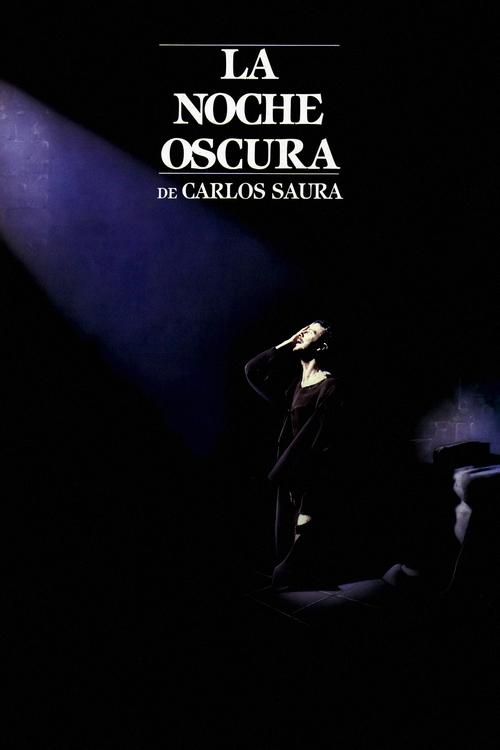 Póster de La noche oscura