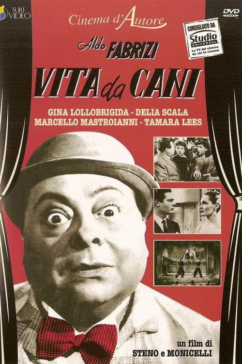 Póster de Vita da cani
