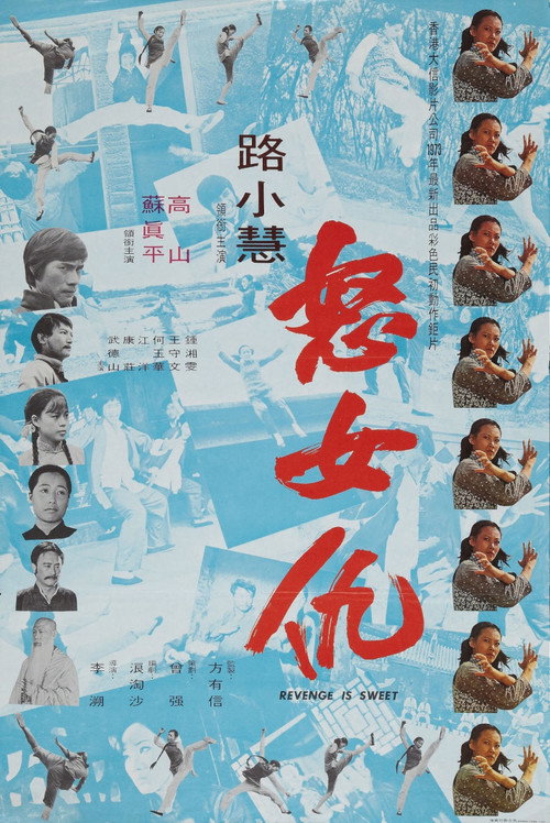 Póster de 夢游女殺手