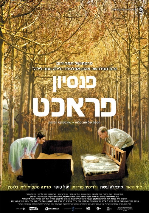 Póster de פנסיון פראכט