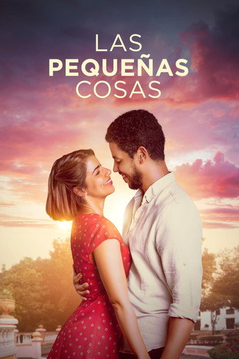 Póster de Las pequeñas cosas