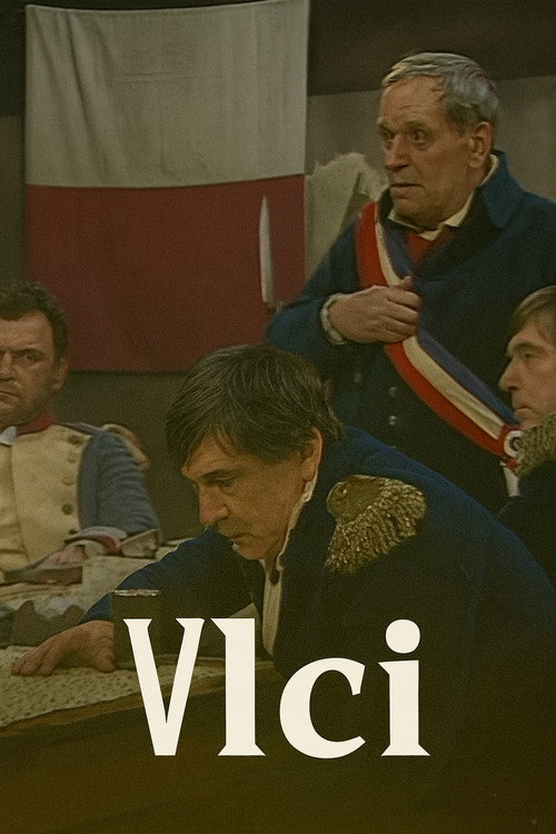 Póster de Vlci