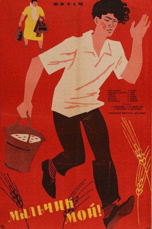 Póster de Мальчик мой!