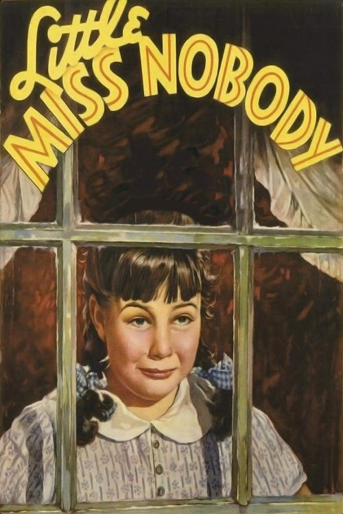 Póster de Little Miss Nobody
