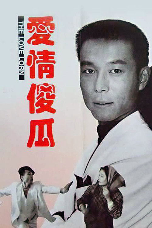 Póster de 爱情傻瓜