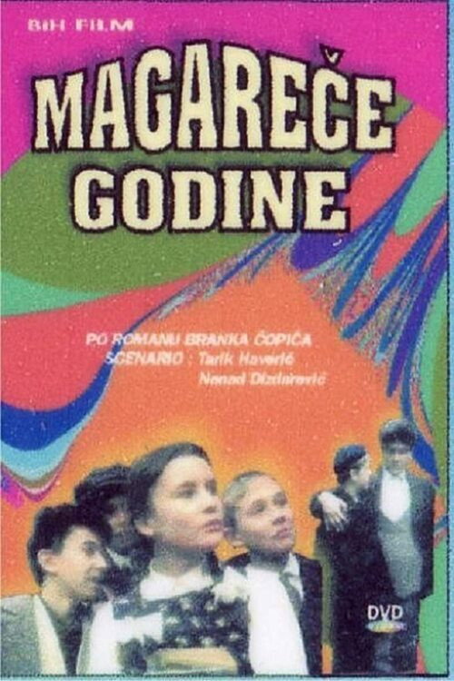Póster de Magareće godine
