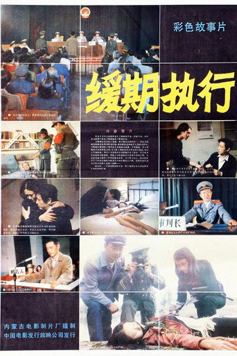 Póster de 缓期执行