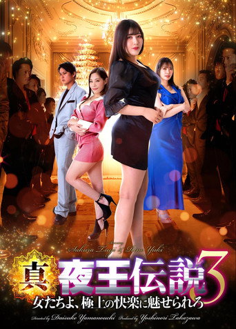 Póster de 真・夜王伝説3 女たちよ、極上の快楽に魅せられろ