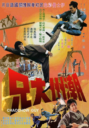 Póster de 潮州大兄