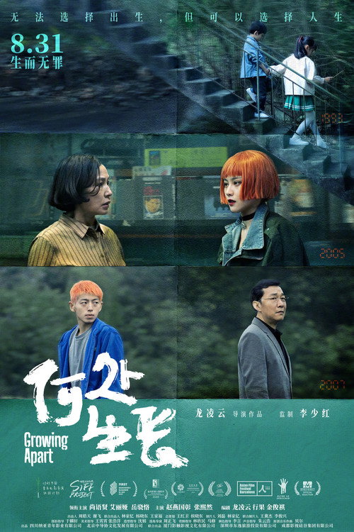 Póster de 何处生长