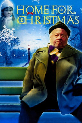Póster de Home for Christmas