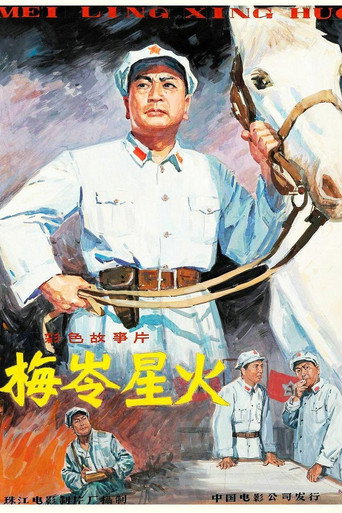 Póster de 梅岭星火