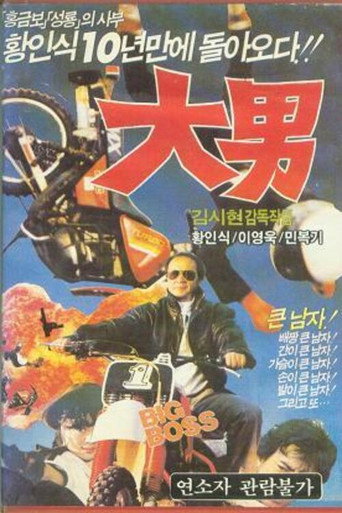 Póster de 대남