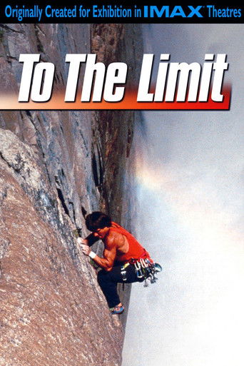 Póster de To The Limit