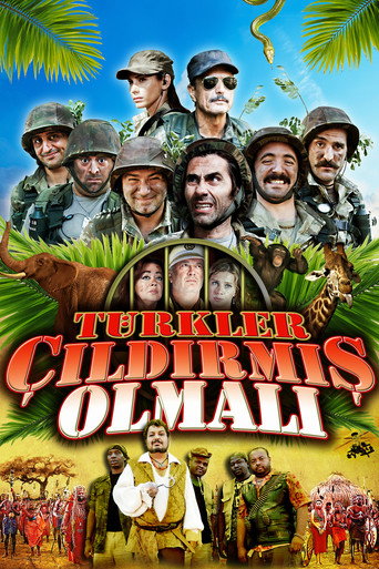Póster de Türkler Çıldırmış Olmalı