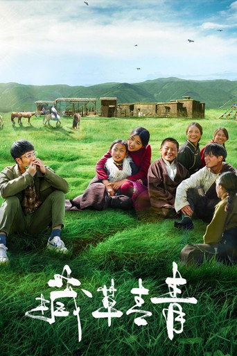 Póster de 援藏日记