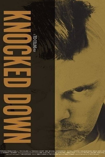Póster de Knocked Down