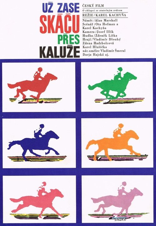Póster de Už zase skáču přes kaluže