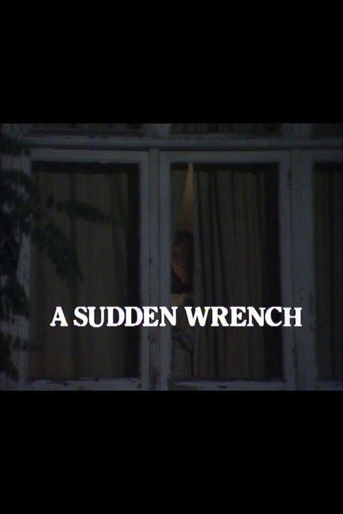 Póster de A Sudden Wrench
