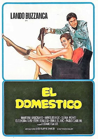 Póster de Il domestico