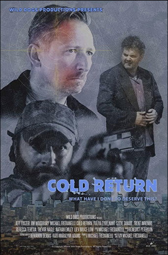 Póster de Cold Return