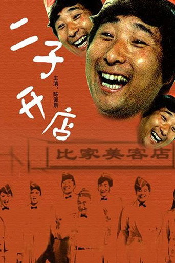 Póster de 二子开店